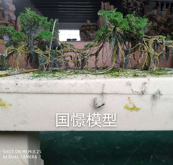 平邑县场景模型