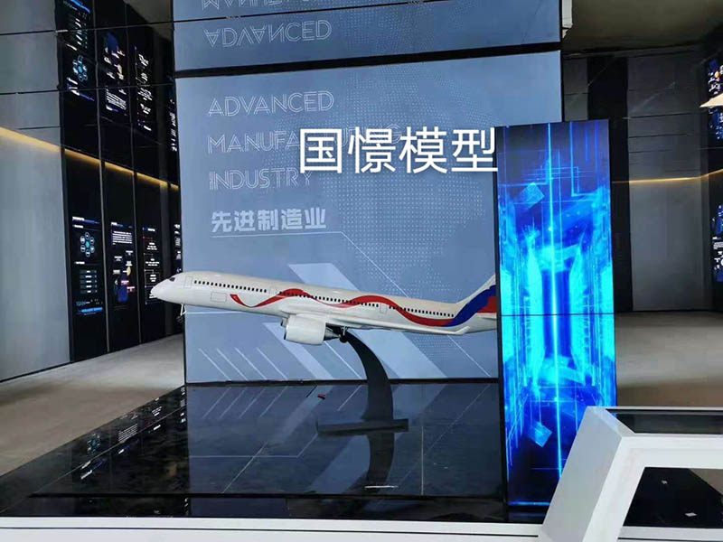 平邑县飞机模型