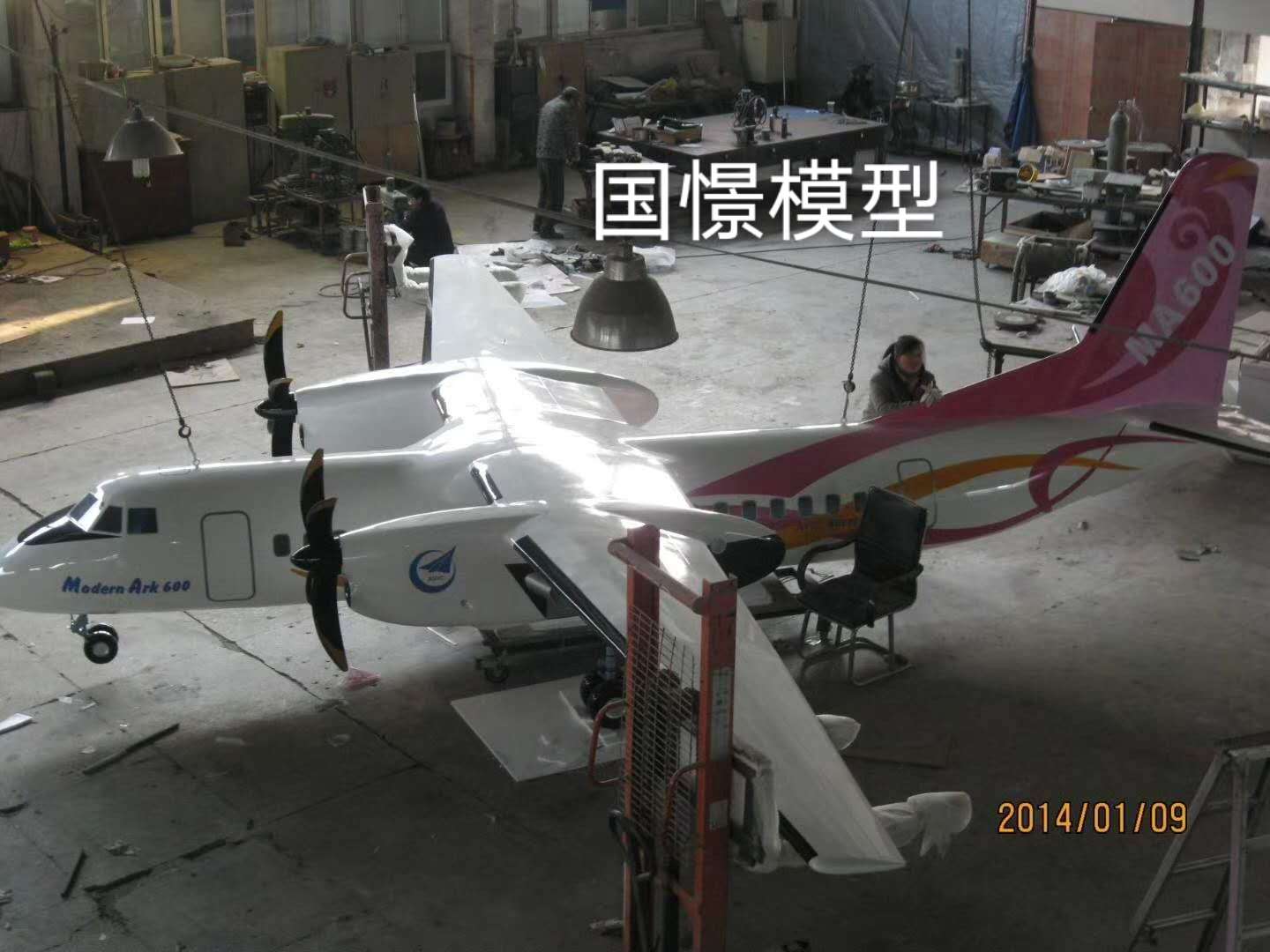 平邑县飞机模型