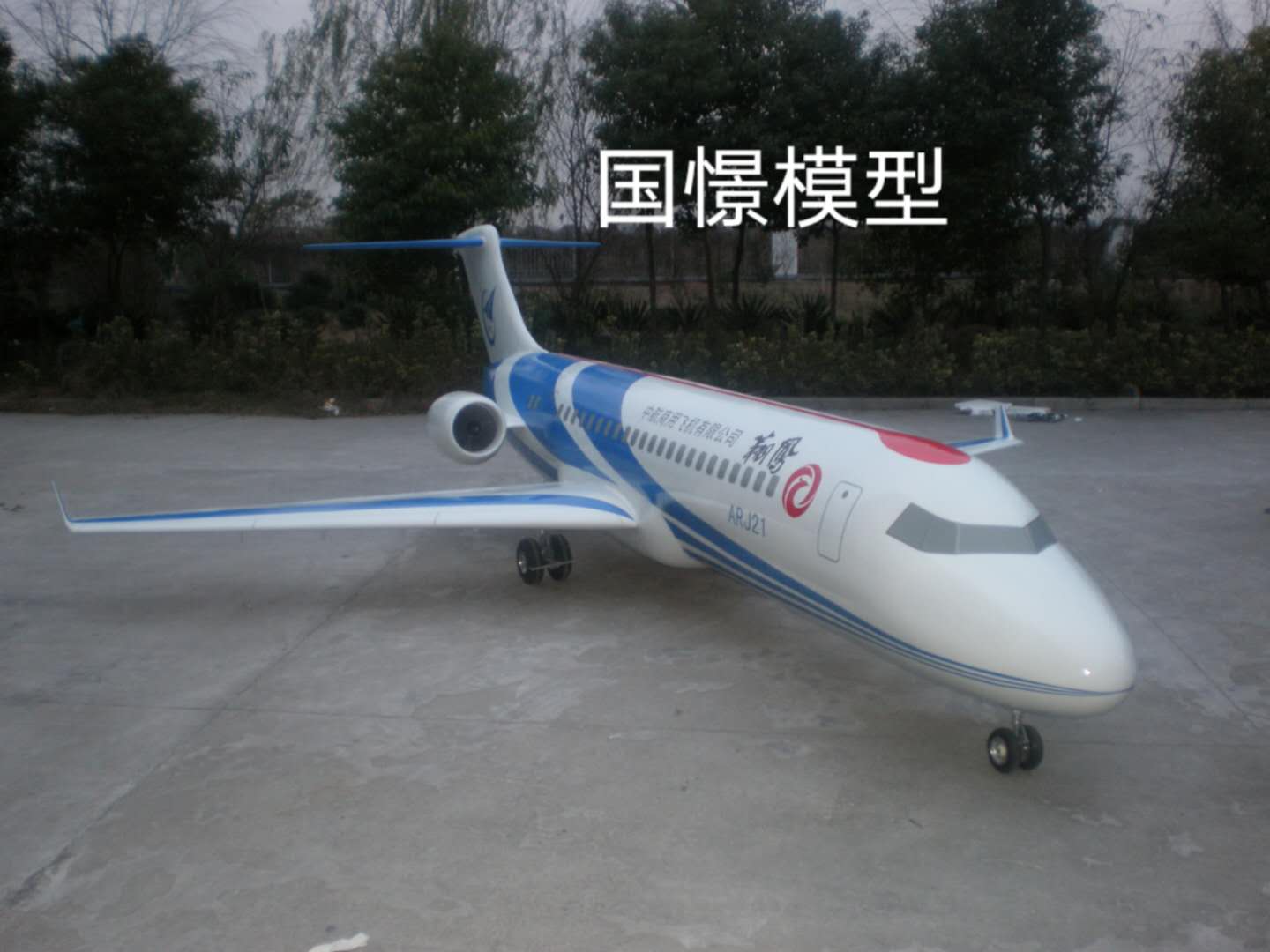 平邑县飞机模型