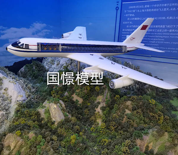 平邑县飞机模型
