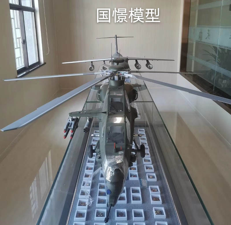 平邑县飞机模型