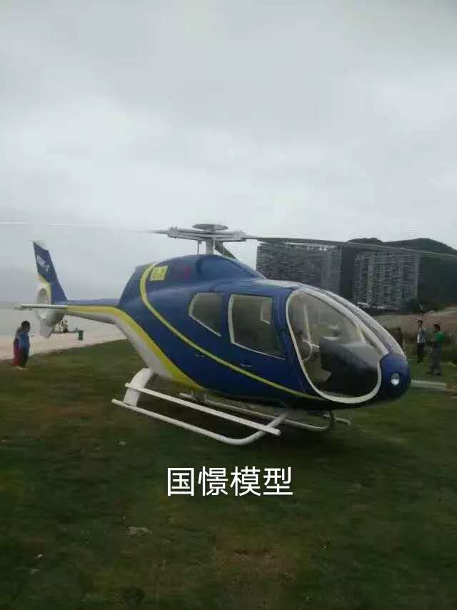 平邑县飞机模型