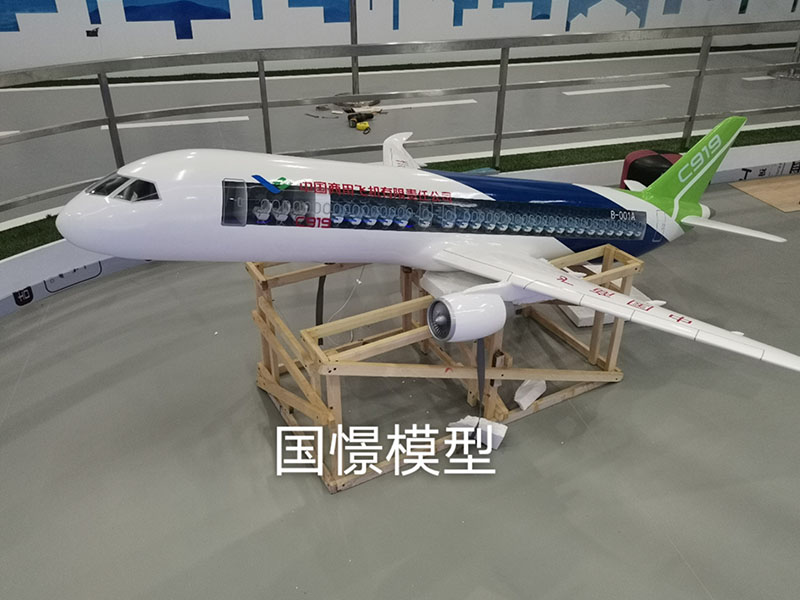 平邑县飞机模型