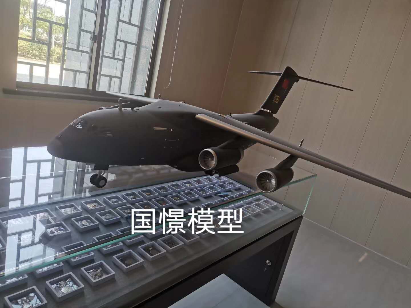 平邑县飞机模型