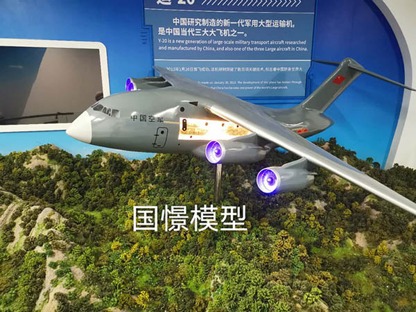 平邑县飞机模型