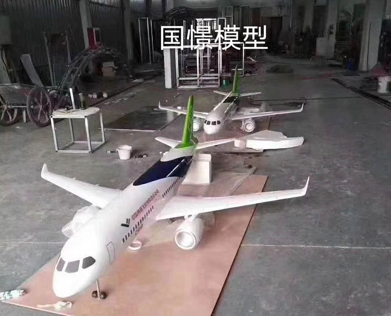 平邑县飞机模型