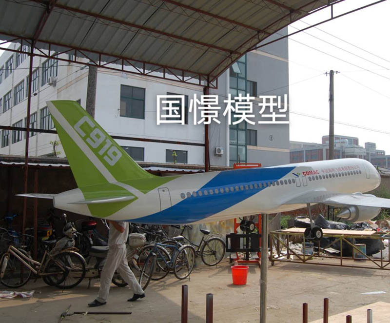 平邑县飞机模型