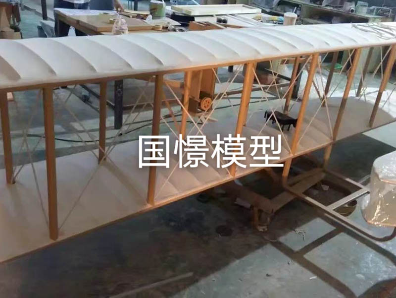 平邑县飞机模型