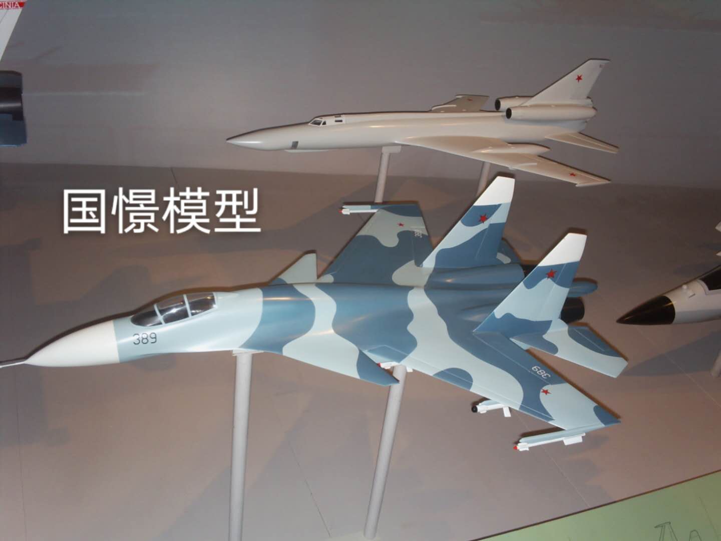 平邑县军事模型