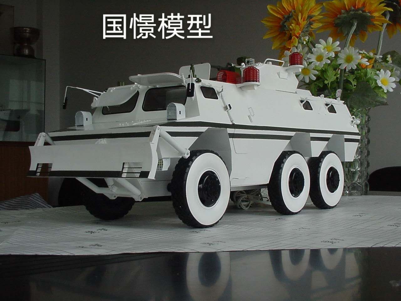 平邑县军事模型