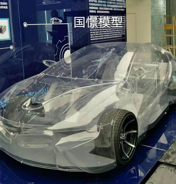 平邑县透明车模型