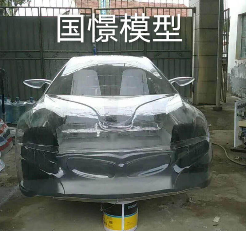 平邑县透明车模型