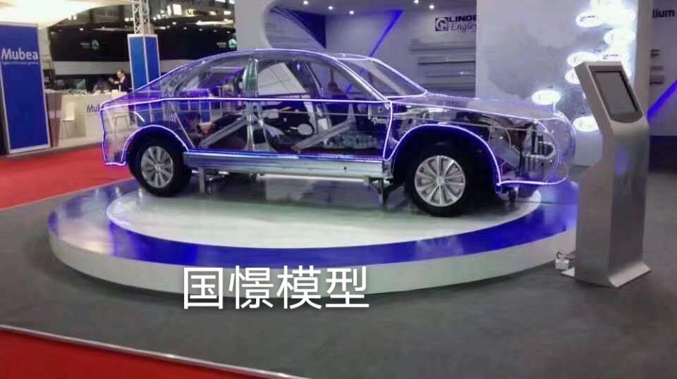 平邑县透明车模型