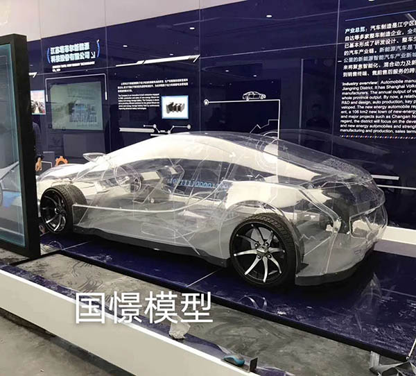 平邑县透明车模型