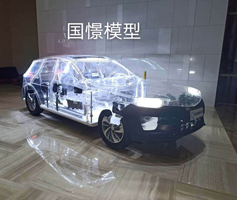平邑县透明车模型