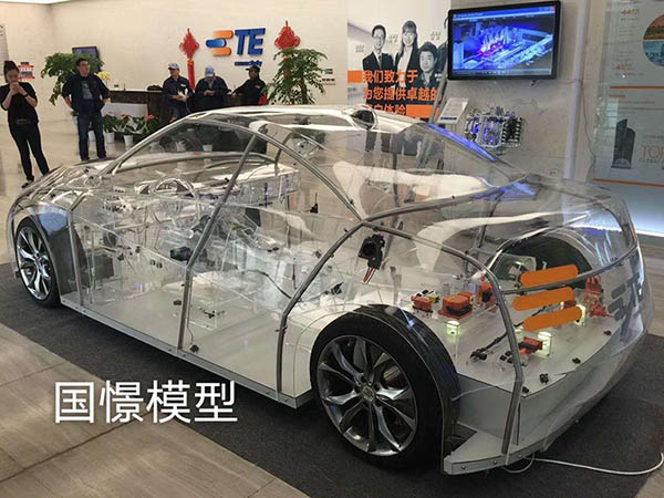 平邑县透明车模型